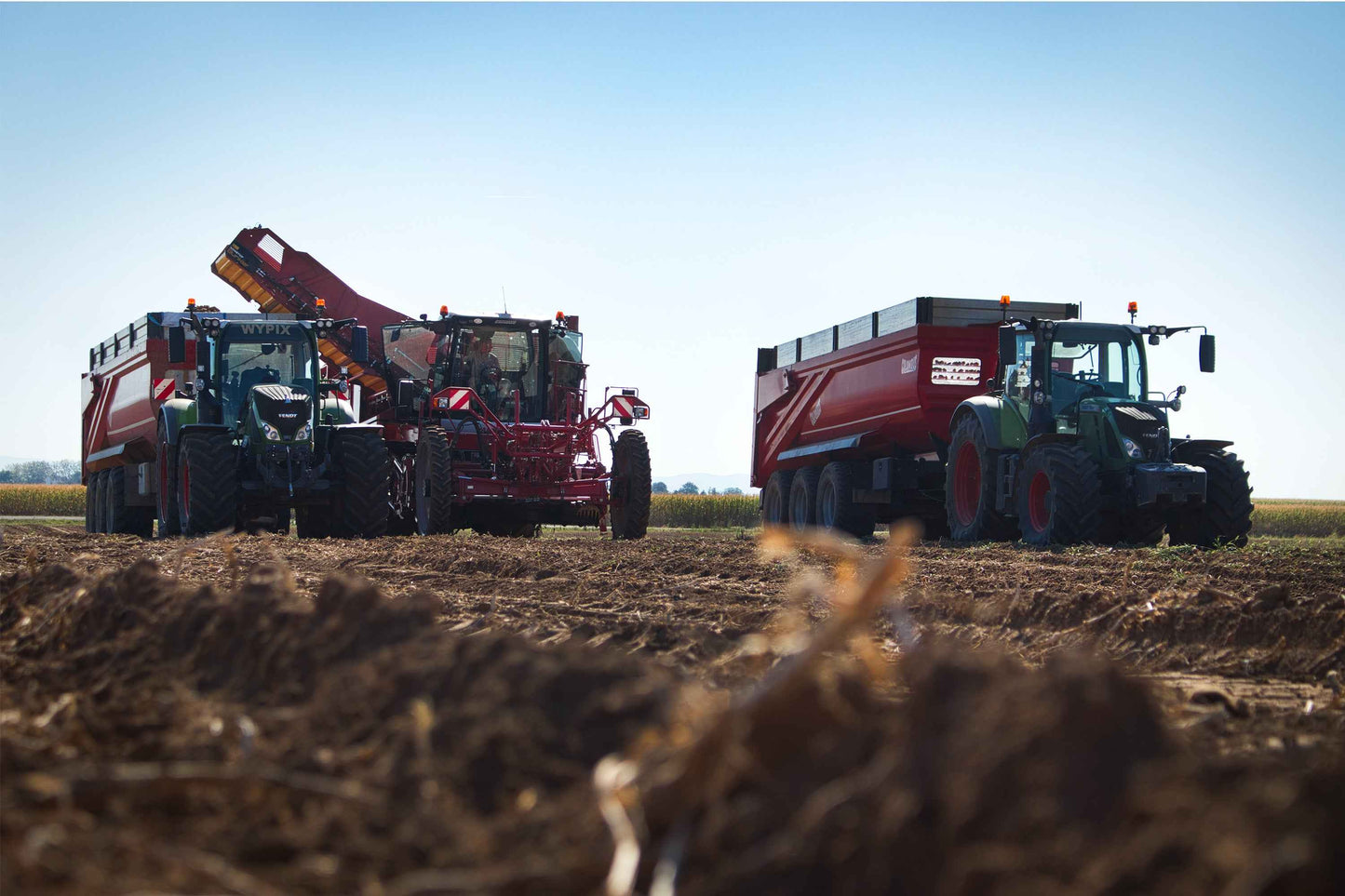 Poster métallique / Wypix
