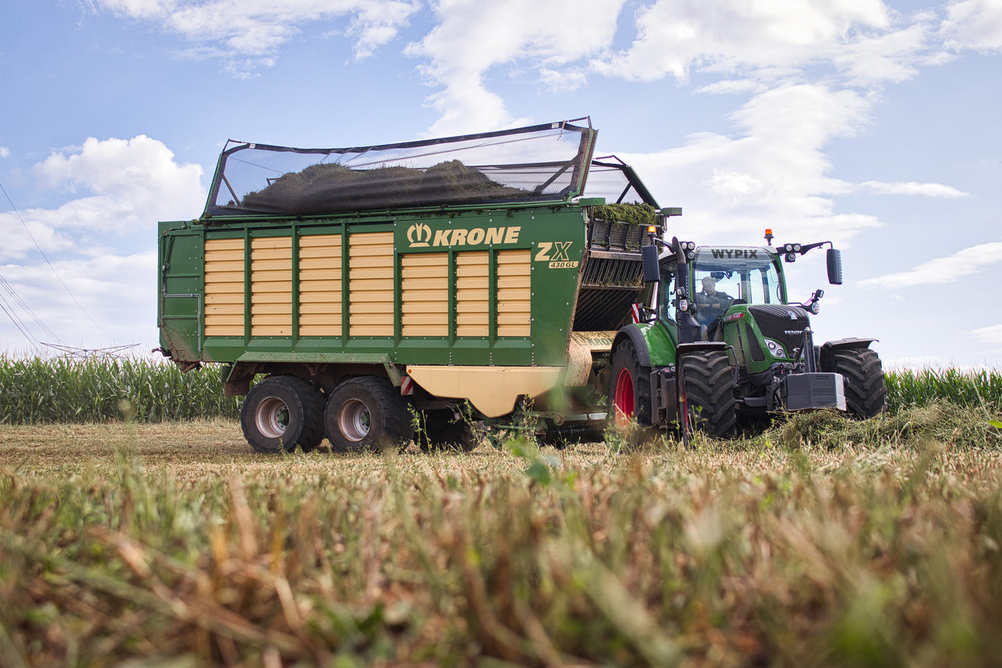 Metal poster / Wypix