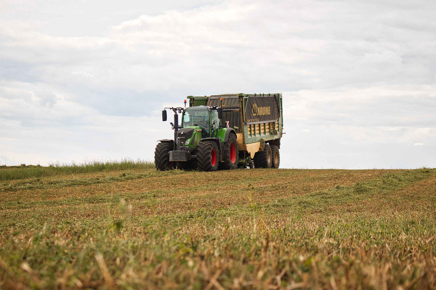 Poster métallique / Wypix