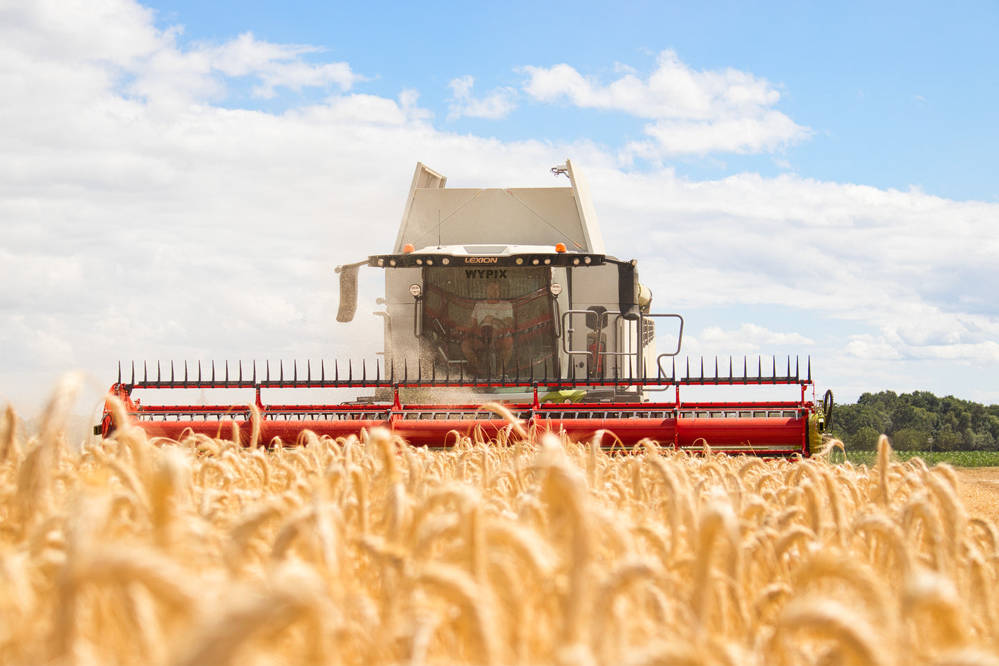 Metal poster / Wypix