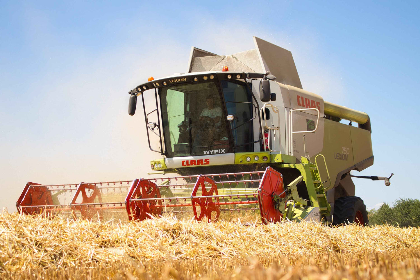 Poster métallique / Wypix