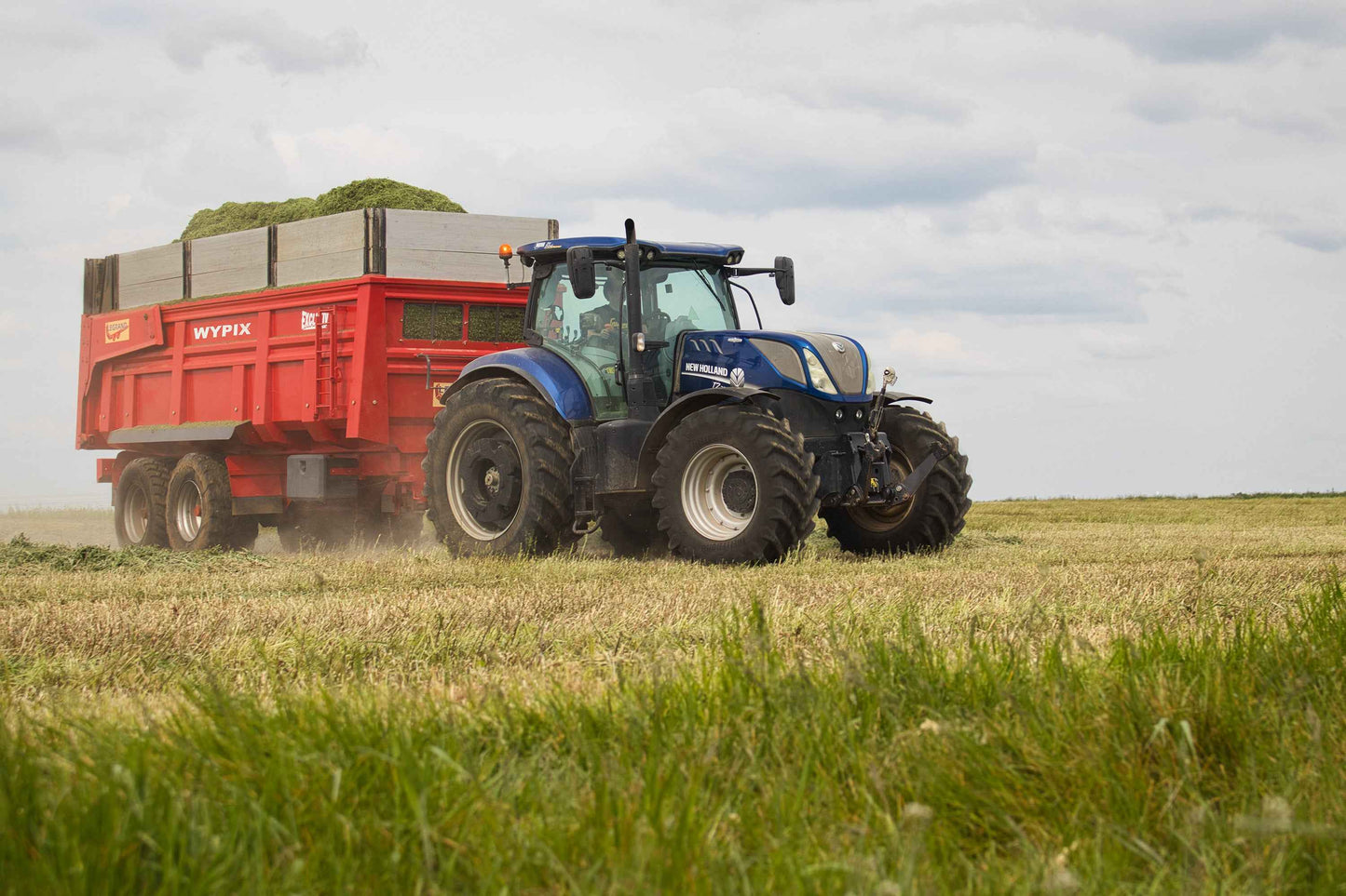 Poster métallique / Wypix