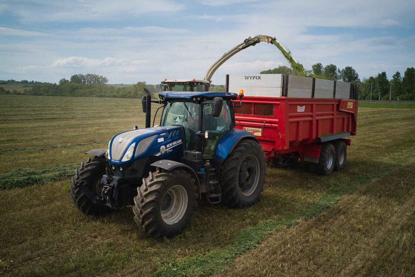 Poster métallique / Wypix