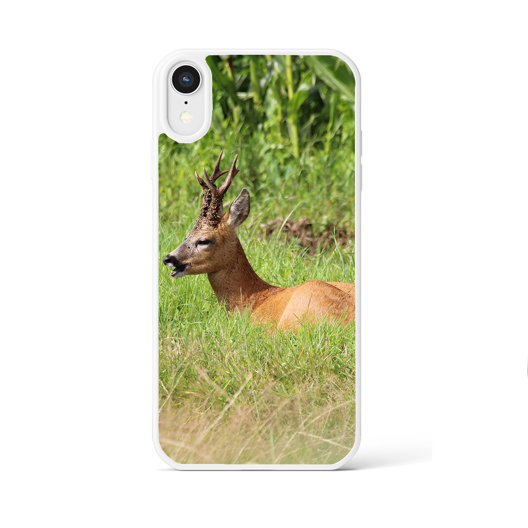 Coque Chevreuil allongé