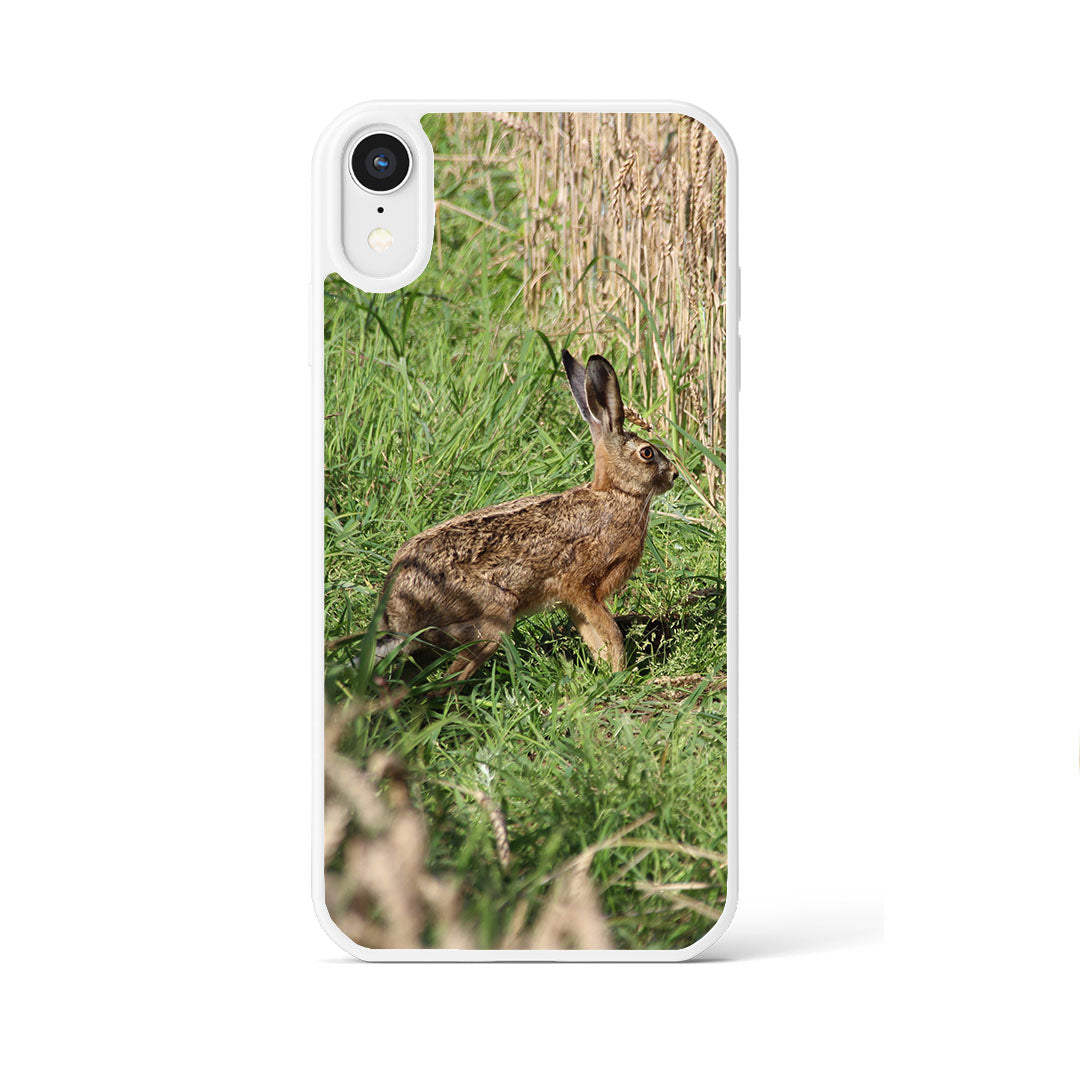 Coque lièvre