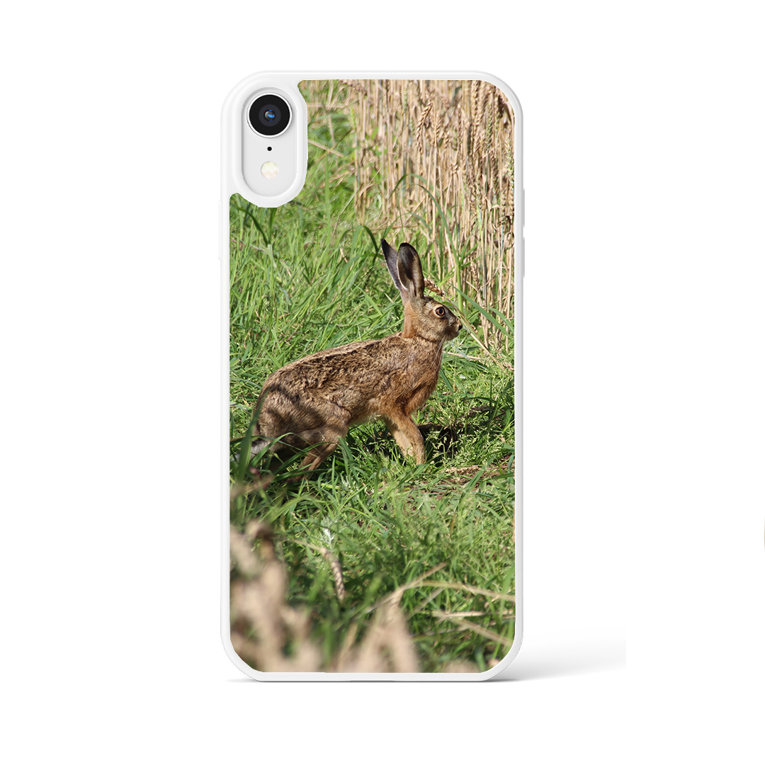 Coque lièvre debout