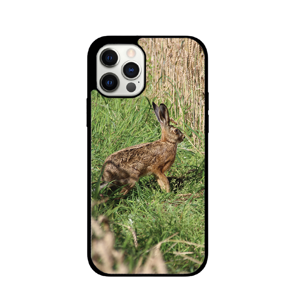 Hare shell