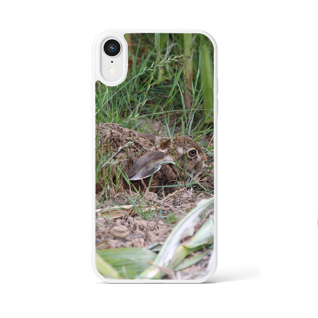 Coque lièvre allongé