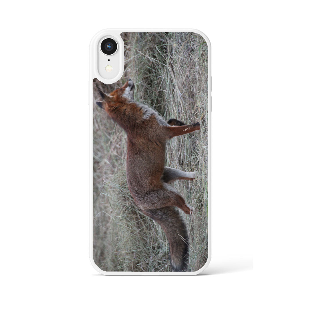 Coque Renard