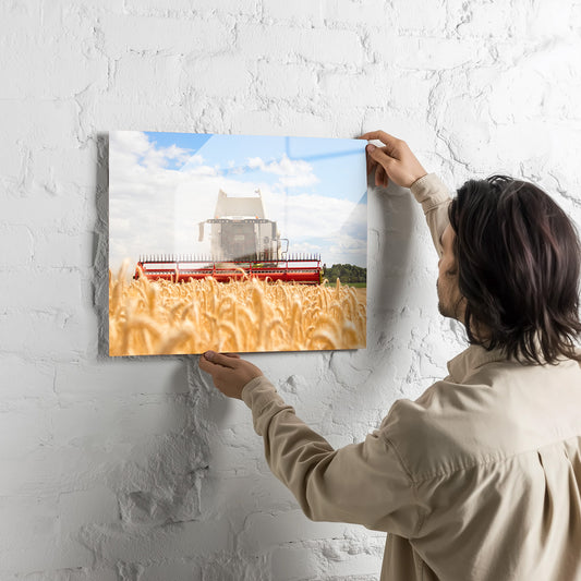 Poster métallique / Wypix