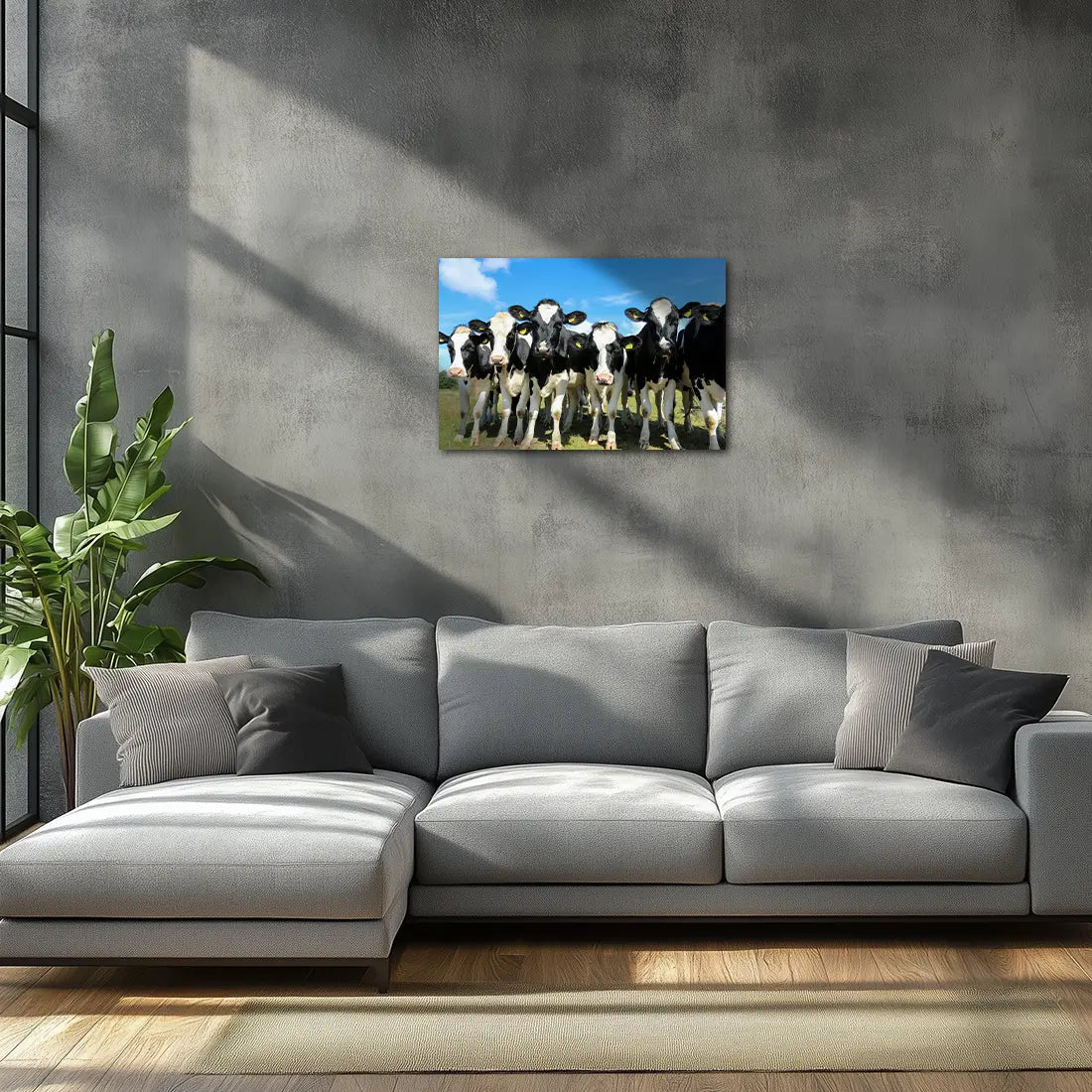 Poster métallique - Vaches Prim'Holstein