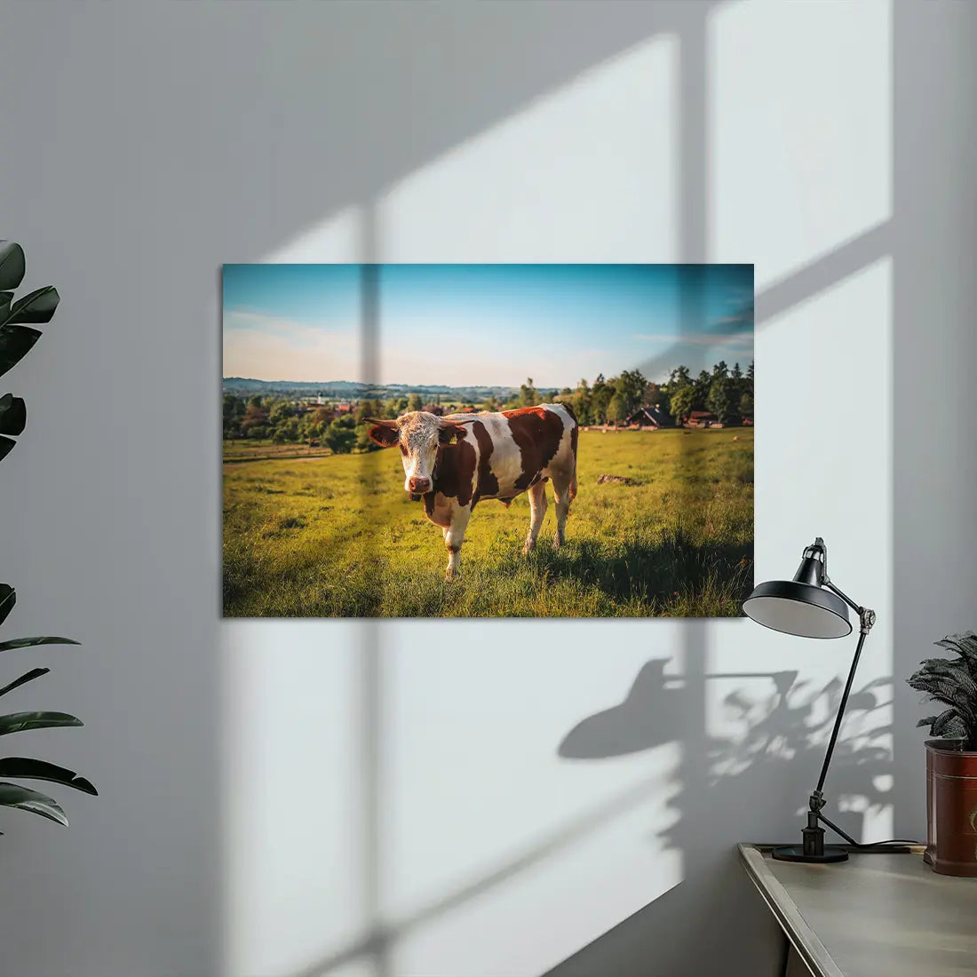 Poster métallique - Vache Simmental