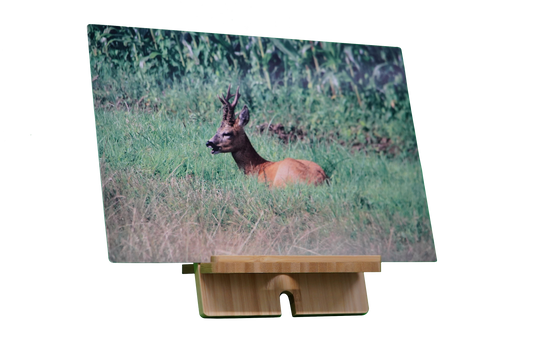 Wooden support for metal poster