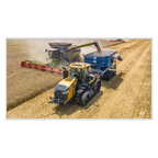 Poster métallique / AGRICOM FRANCE - COQ AGRI