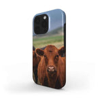 Coque Premium - Vache Limousine