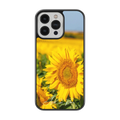 Coque Tournesol