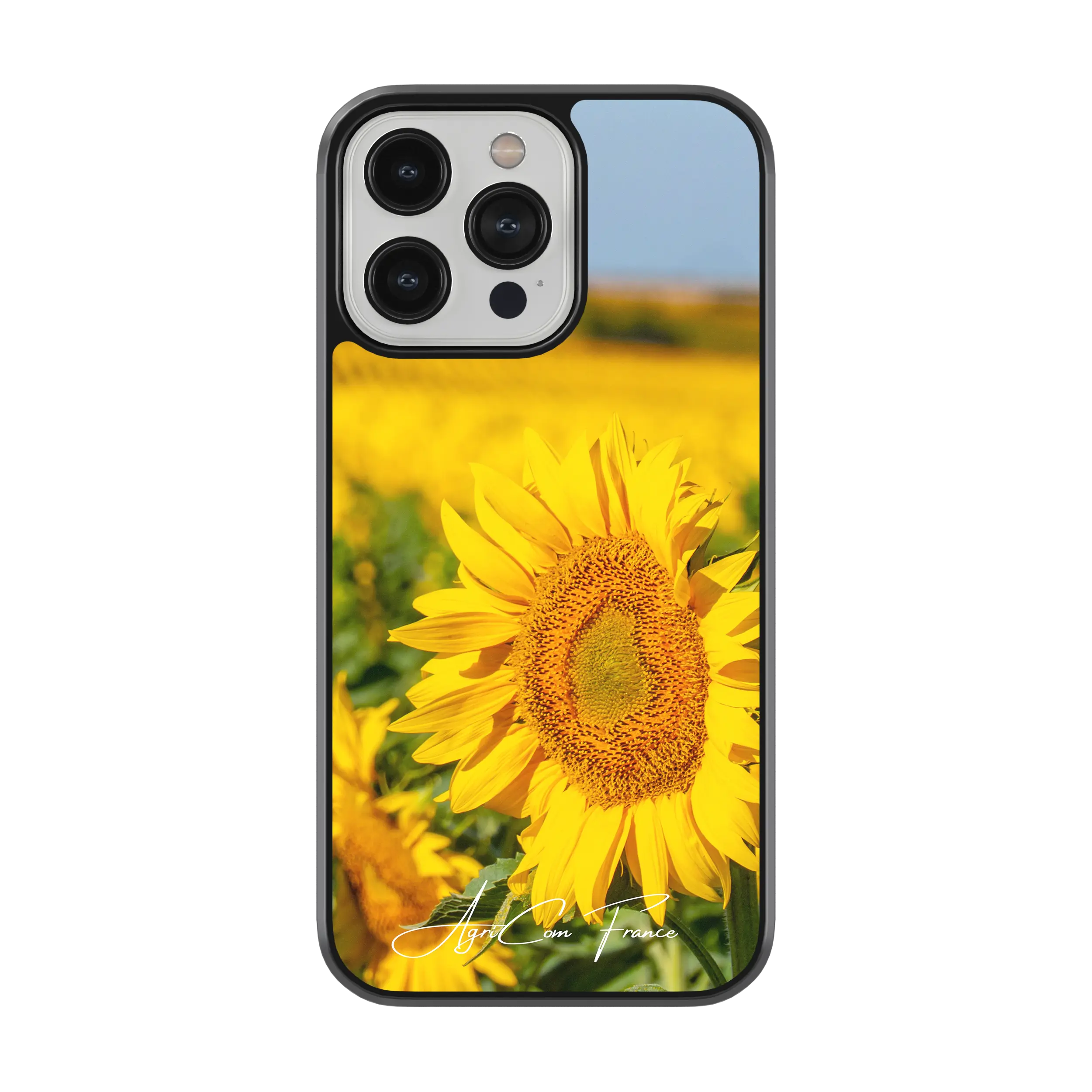 Coque Tournesol