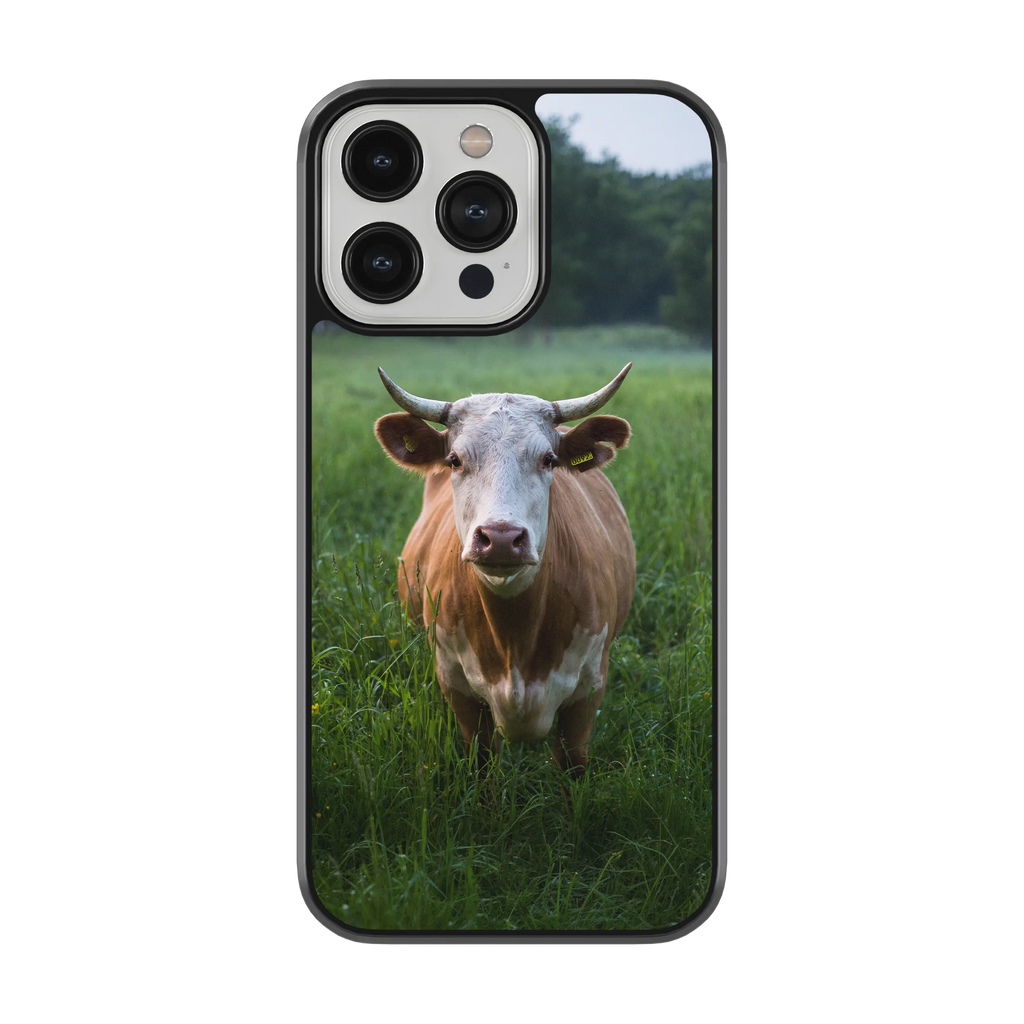 Coque - Aubrac