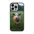 Coque - Aubrac
