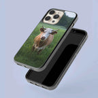 Coque - Aubrac