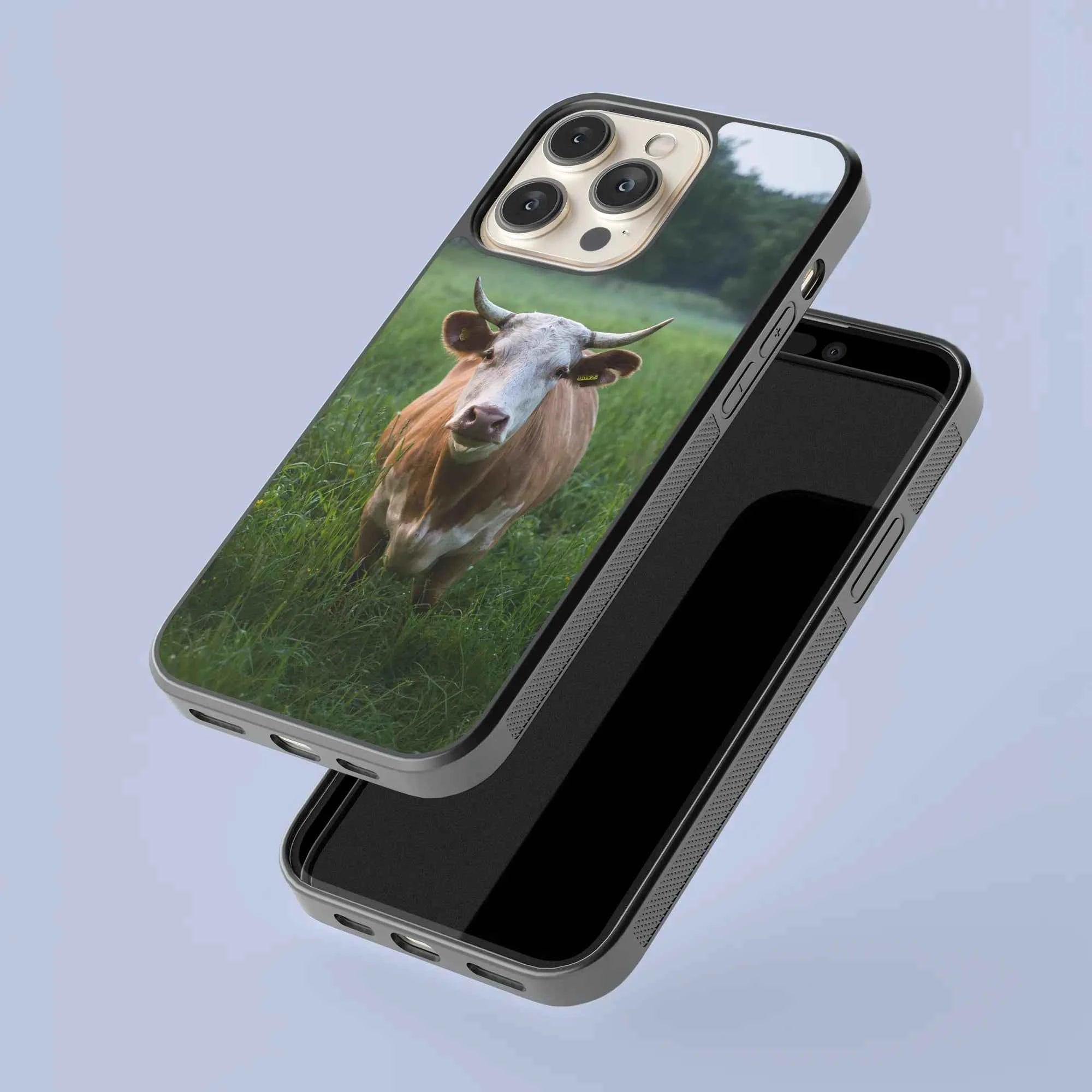 Coque - Aubrac