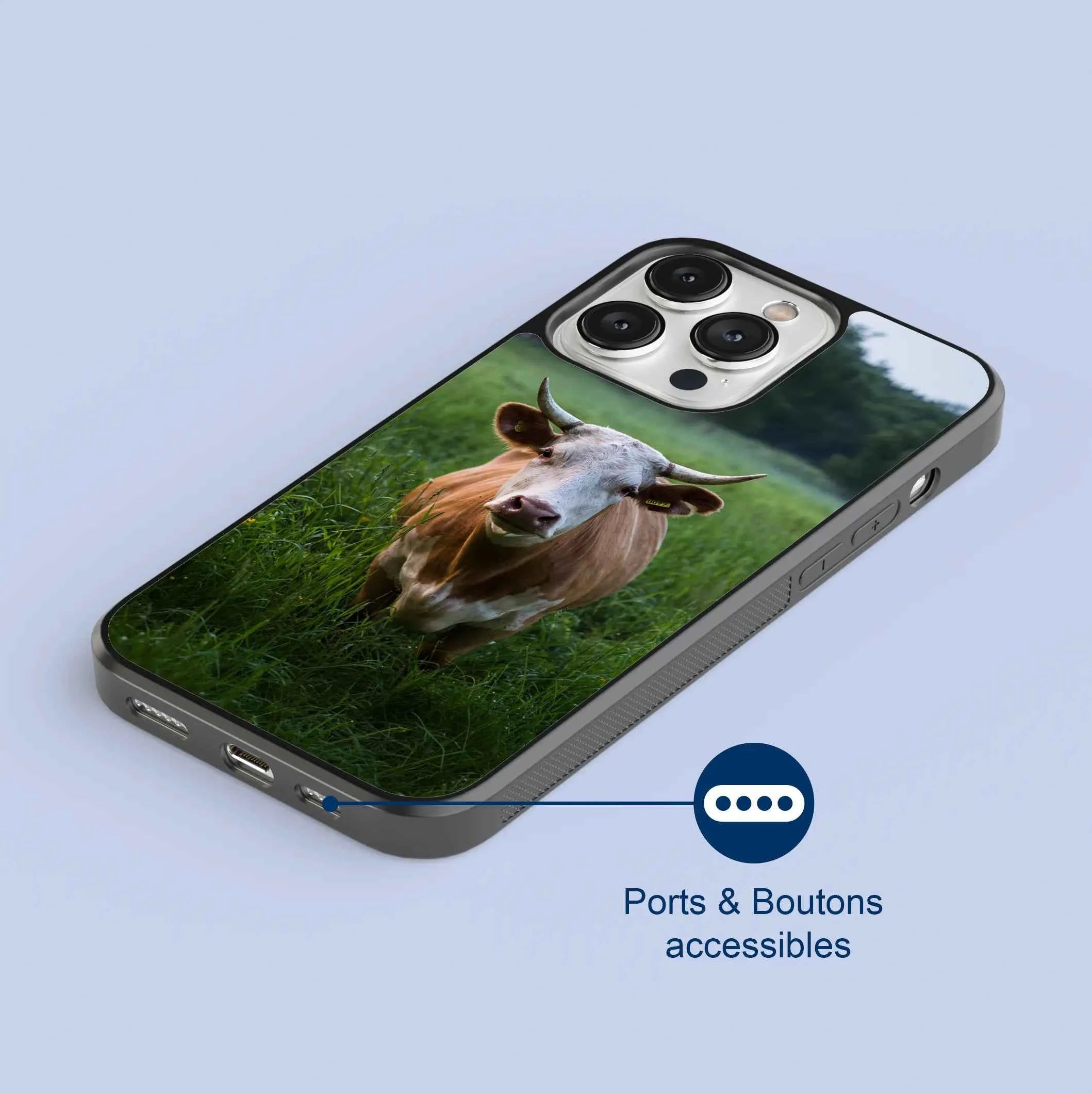 Coque - Aubrac
