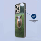 Coque - Aubrac