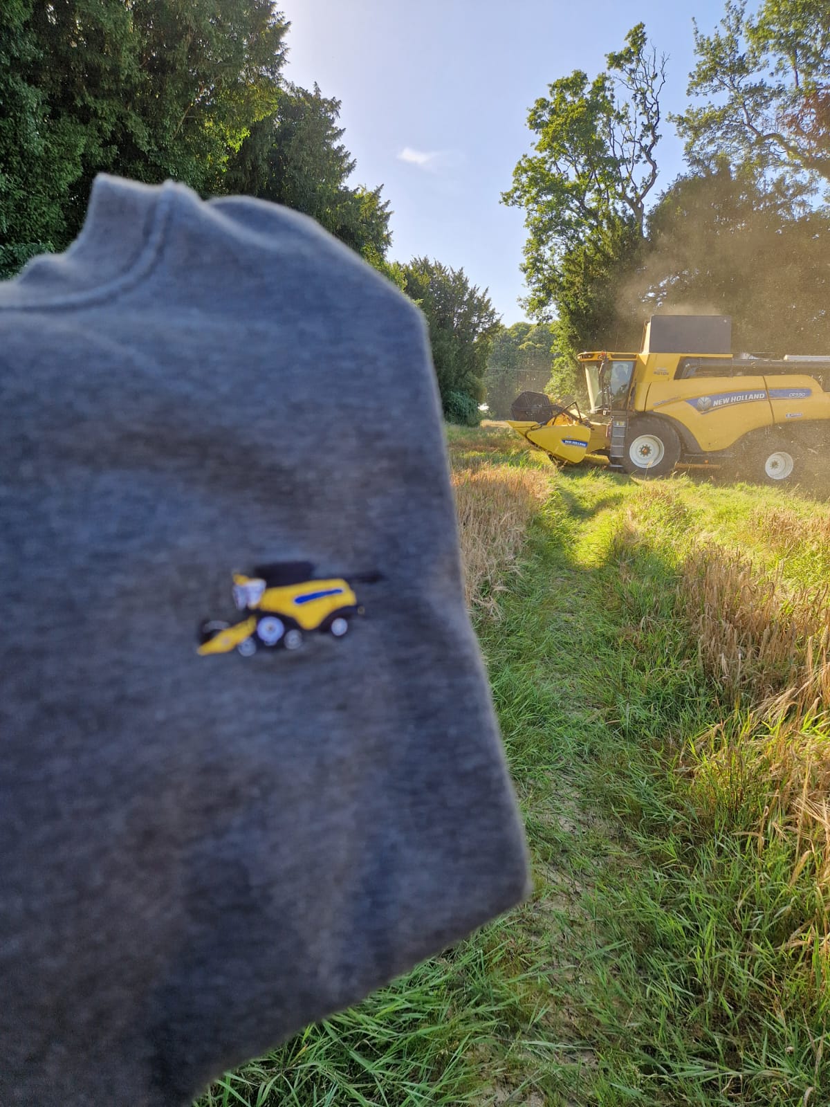 Sweat col rond - Moiss Bat NH