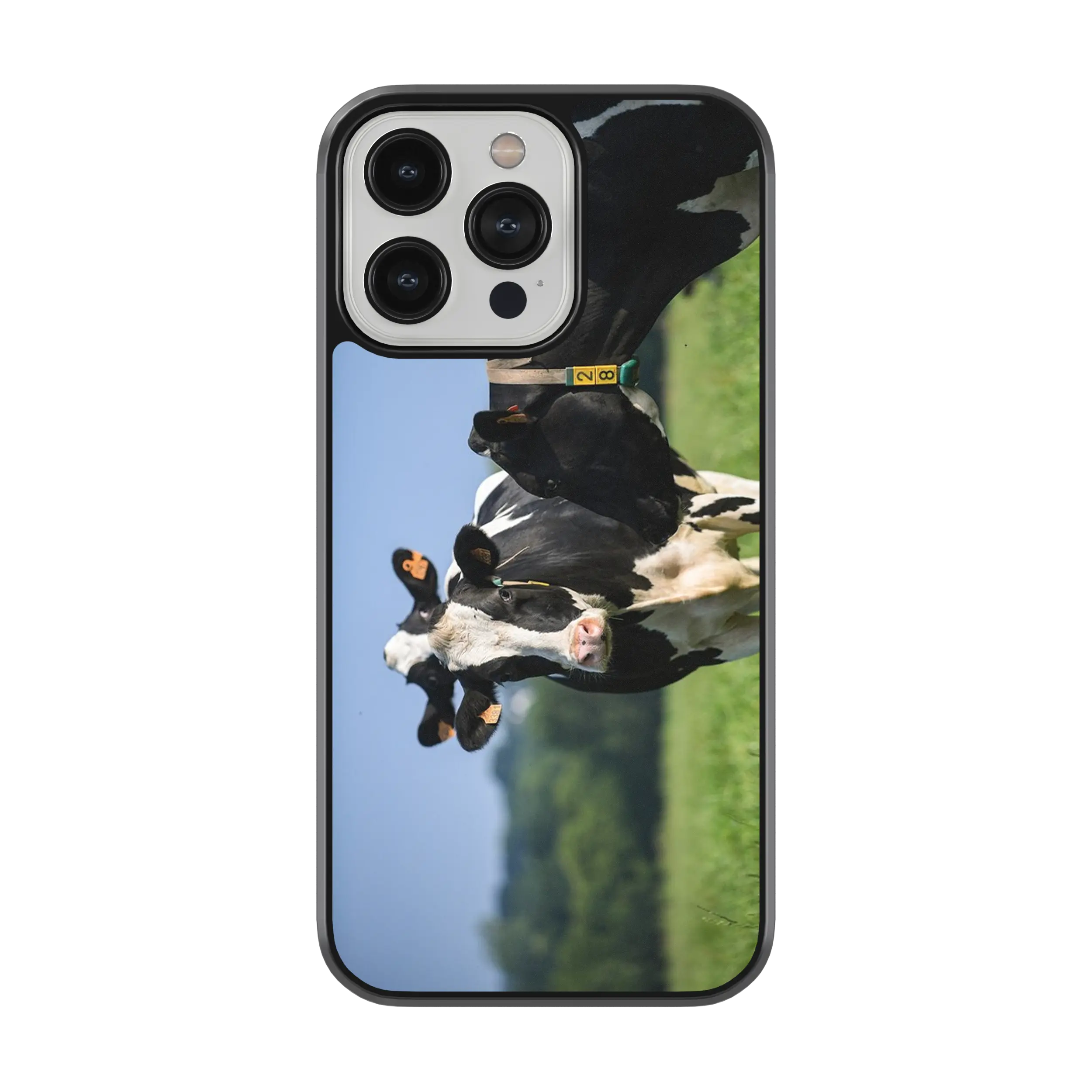 Coque Vache GEA