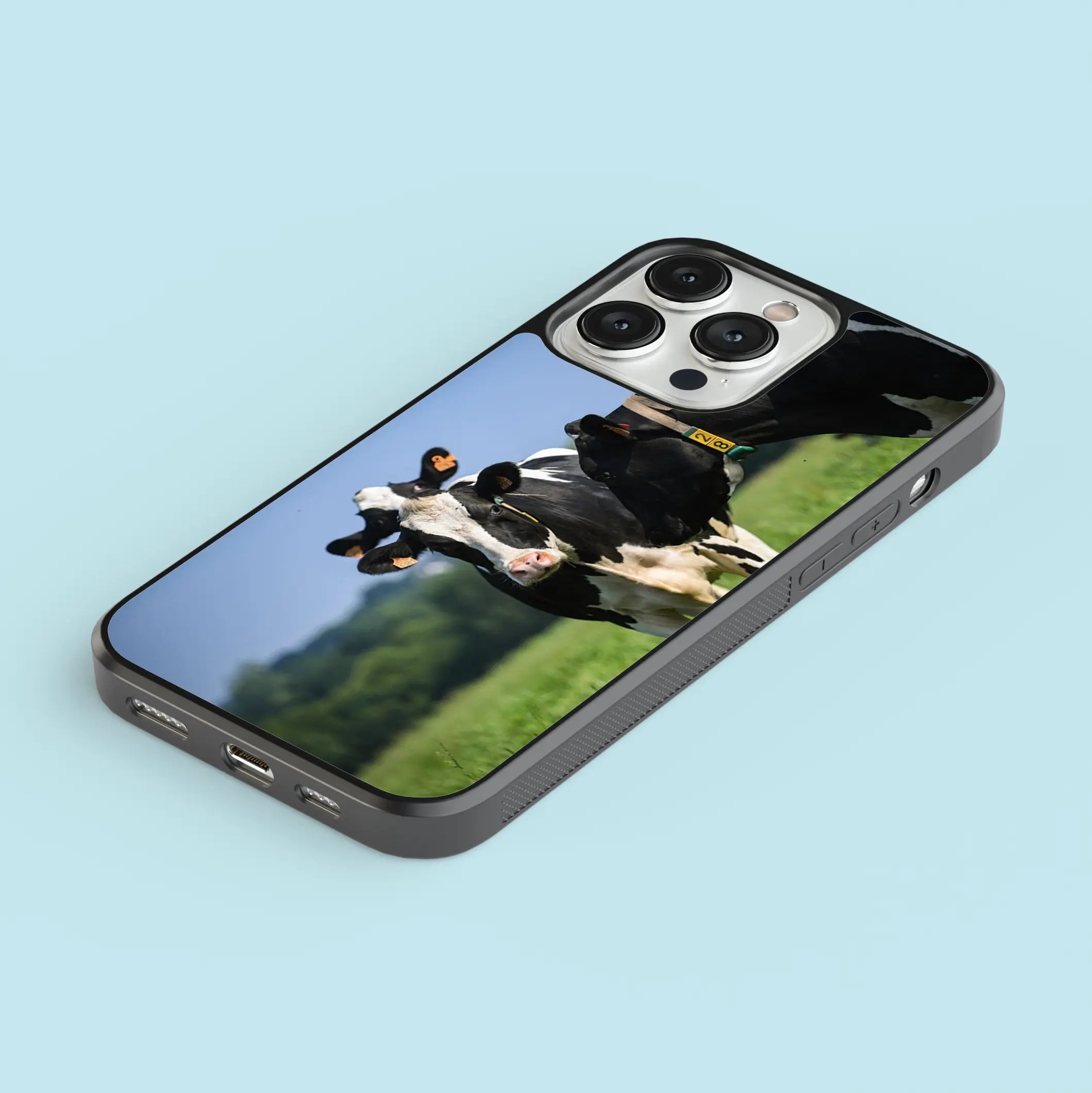 Coque Vache GEA