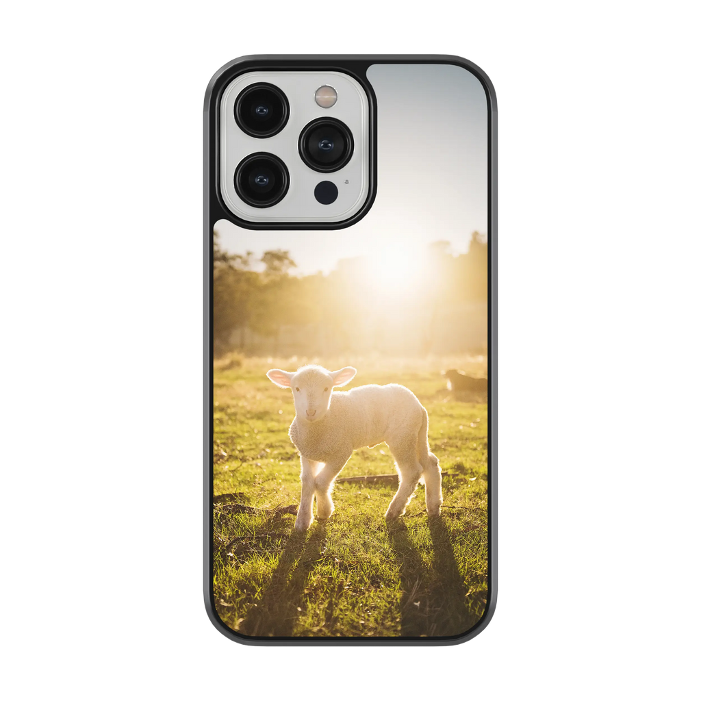Coque - Agneau
