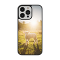 Coque - Agneau