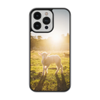 Coque - Agneau