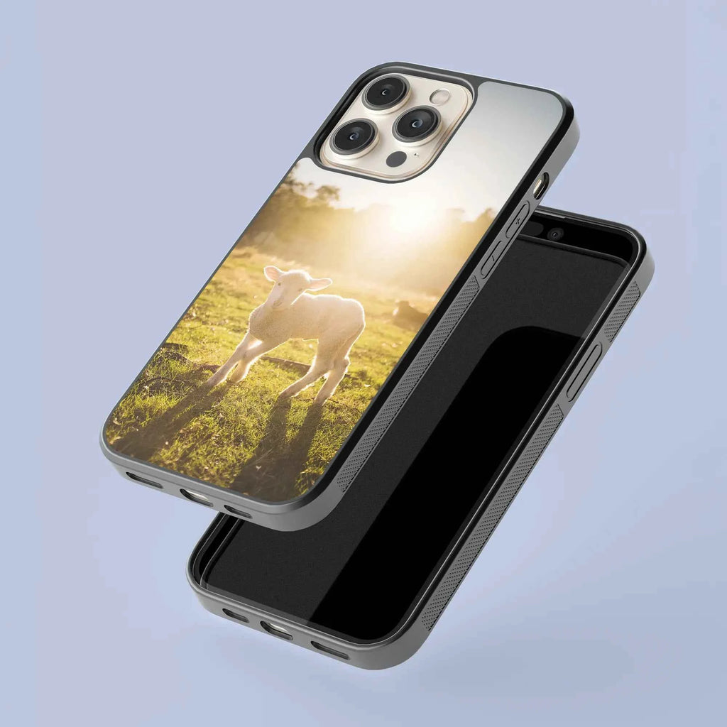 Coque - Agneau