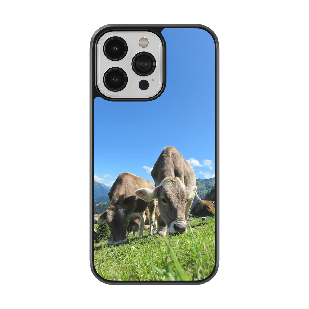 Coque - Brunes des Alpes