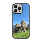 Coque - Brunes des Alpes