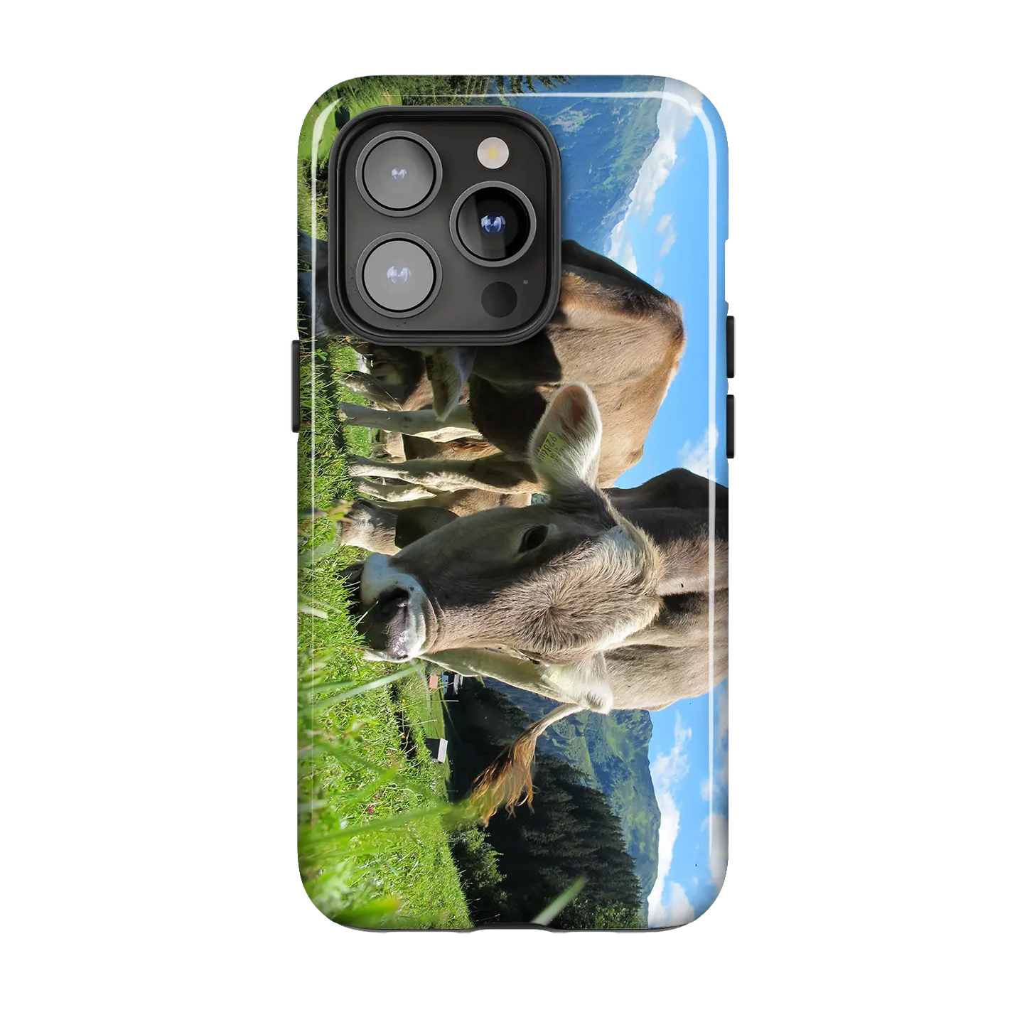 Coque Premium - Brunes des Alpes