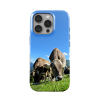 Coque Premium - Vache Brunes des Alpes