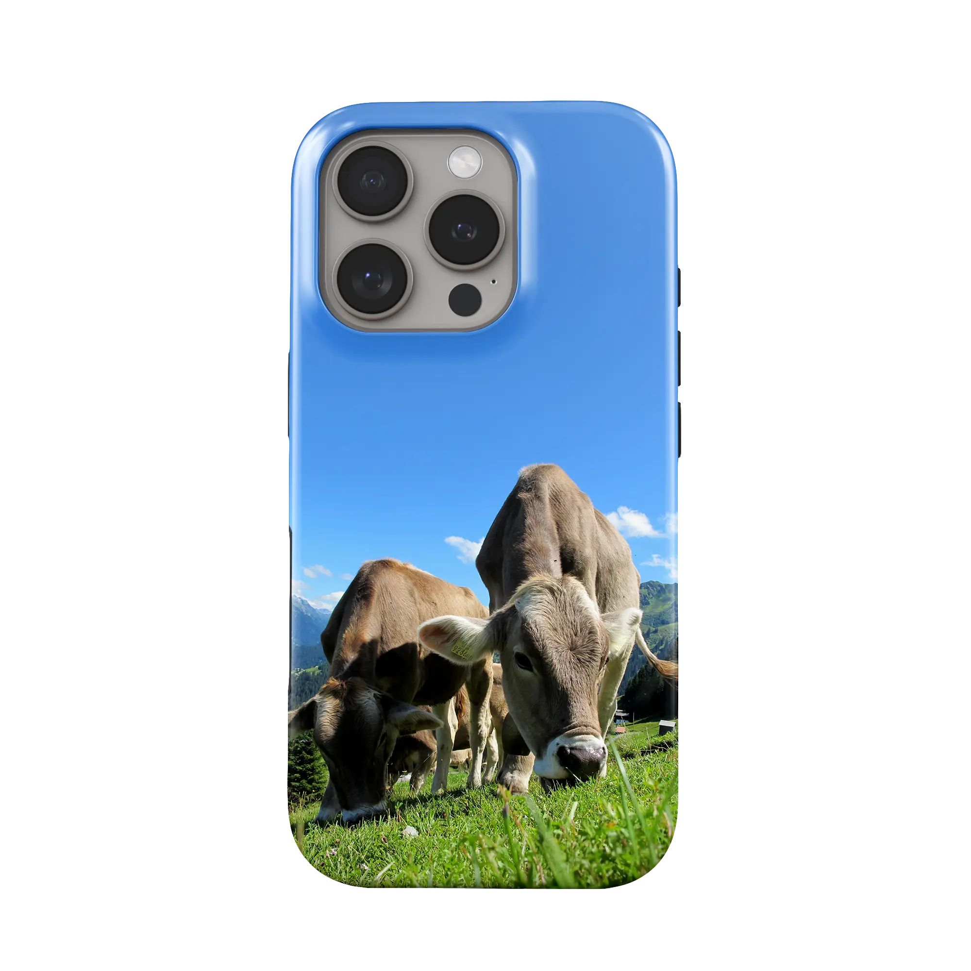 Coque Premium - Vache Brunes des Alpes