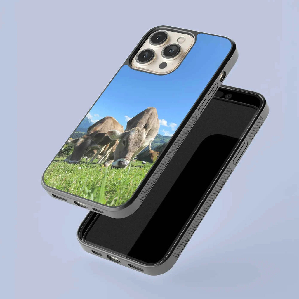 Coque - Brunes des Alpes