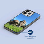 Coque - Brunes des Alpes