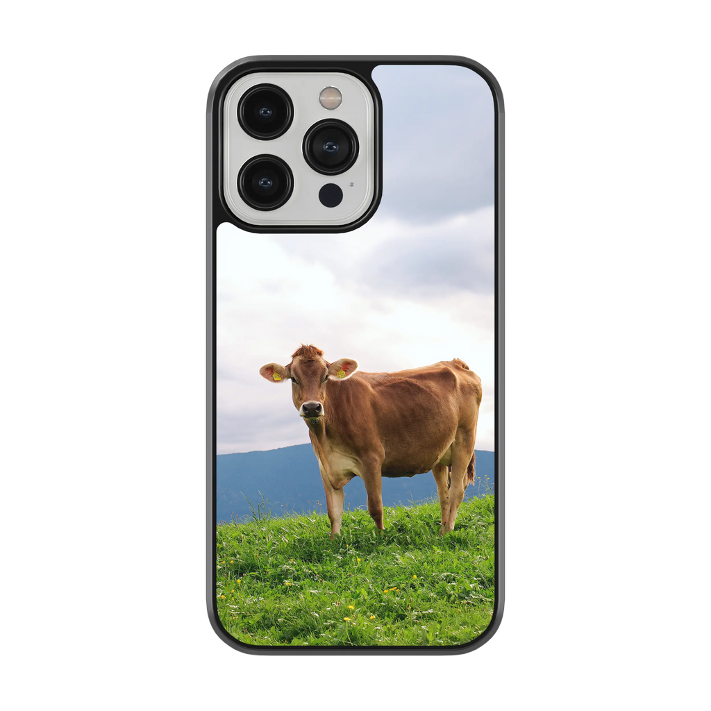 Coque - Brunes des Alpes