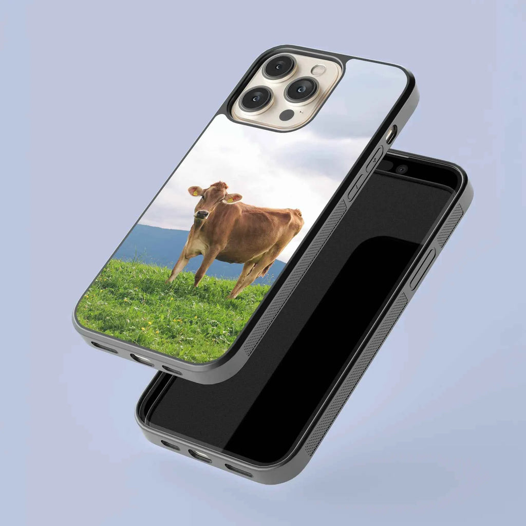 Coque - Brunes des Alpes