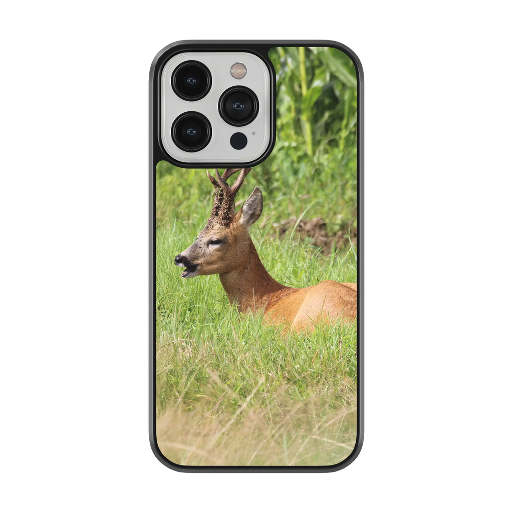 Coque Chevreuil allongé