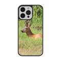 Coque Chevreuil allongé