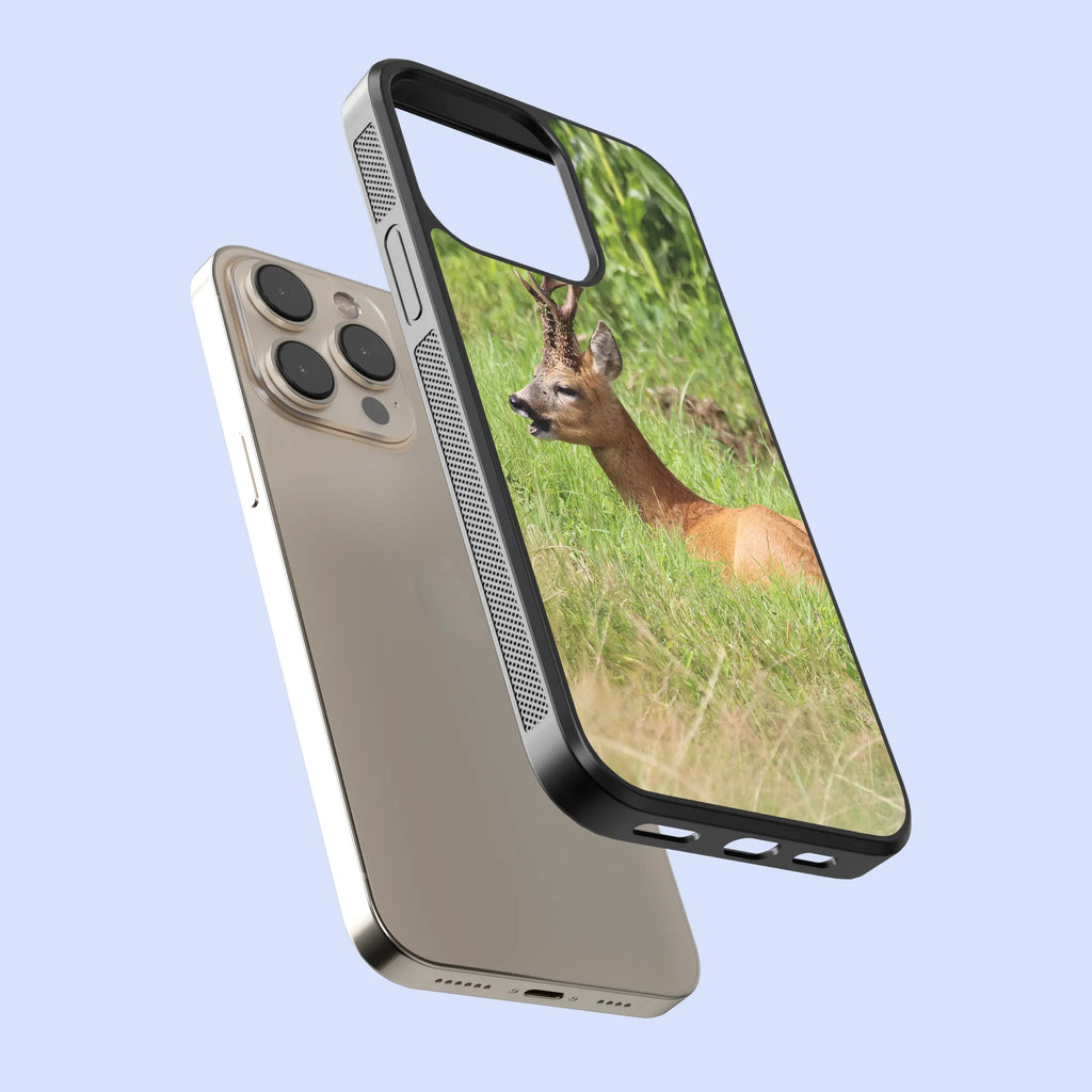 Coque Chevreuil allongé