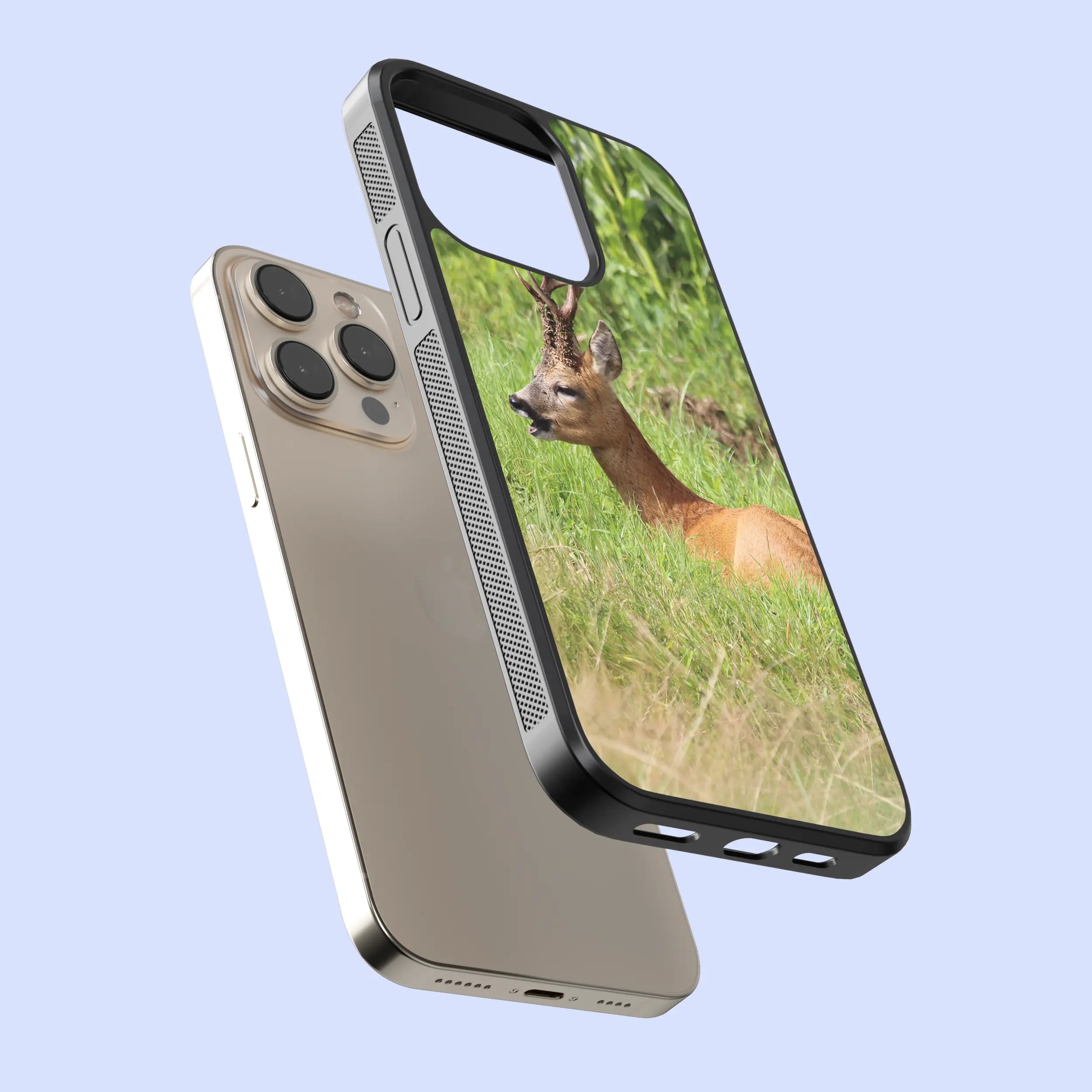 Coque Chevreuil allongé