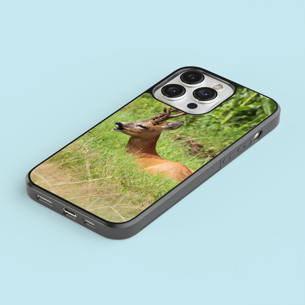 Coque Chevreuil allongé