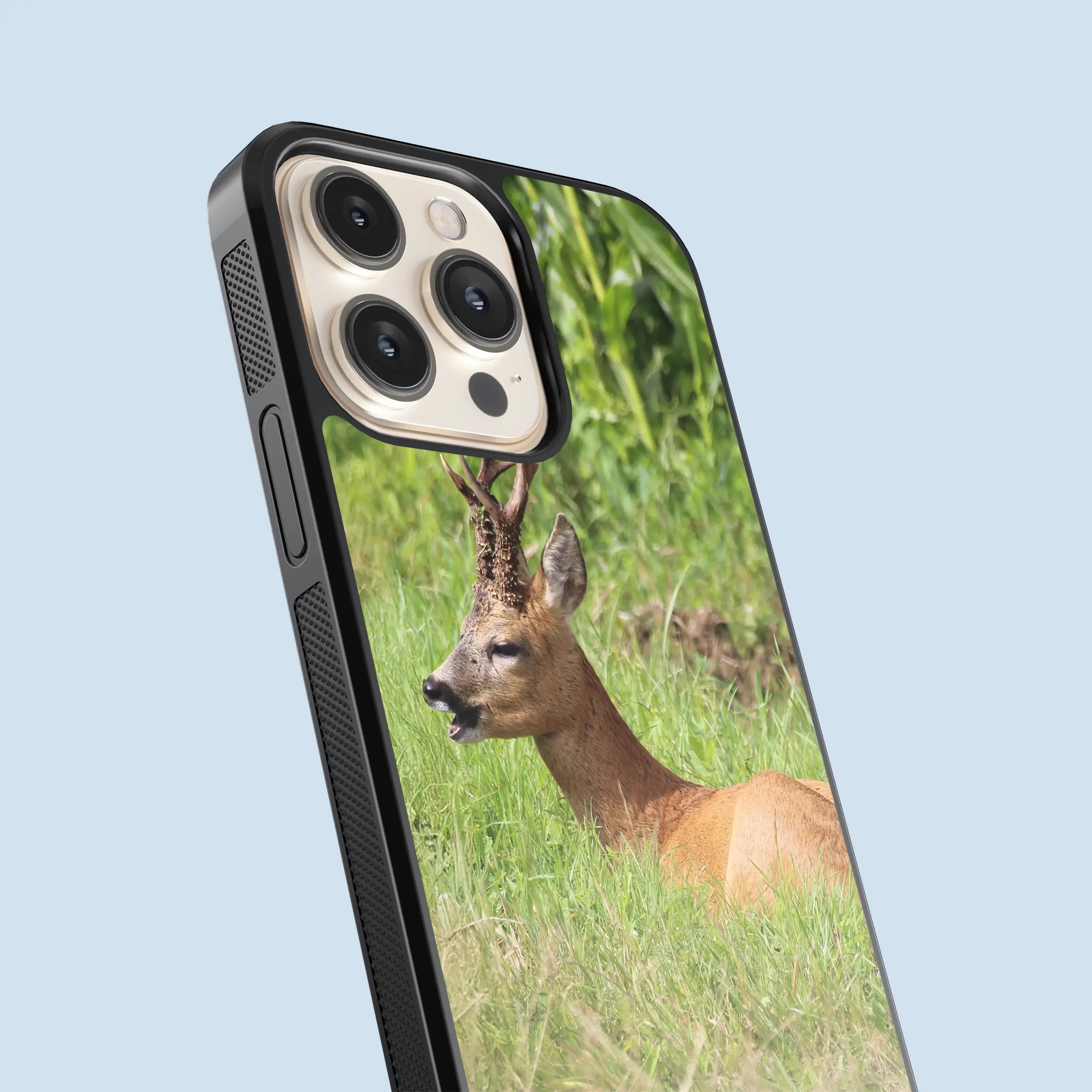 Coque Chevreuil allongé