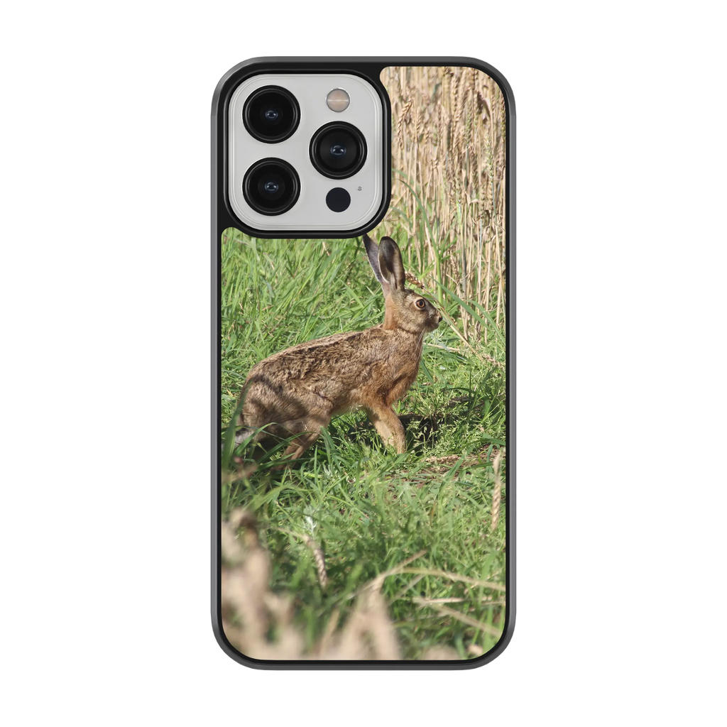 Coque lièvre